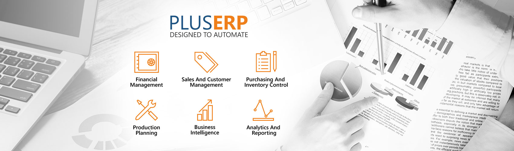 Plue ERP Design To Automate